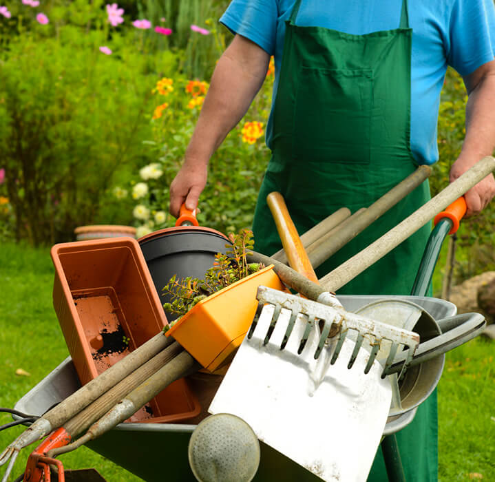 Gartenbau & Gartenpflege